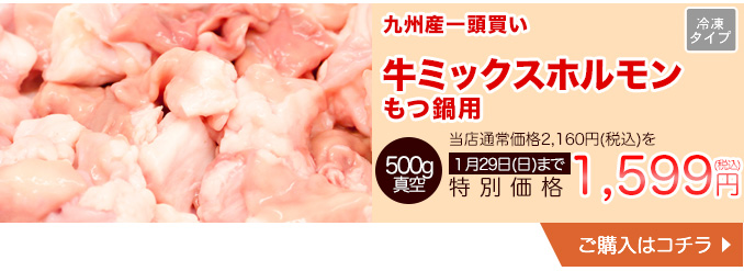 九州産一頭買い牛ミックスホルモン【もつ鍋用】1パック５00g　真空冷凍