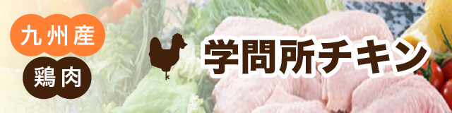 九州産鶏肉 学問所チキン
