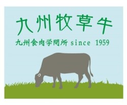 九州牧草牛
